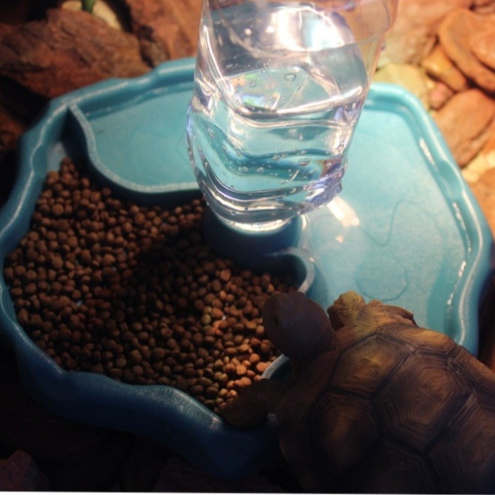 Новая съемная кормушка для реп – обзор и цена Water Dish Reptile