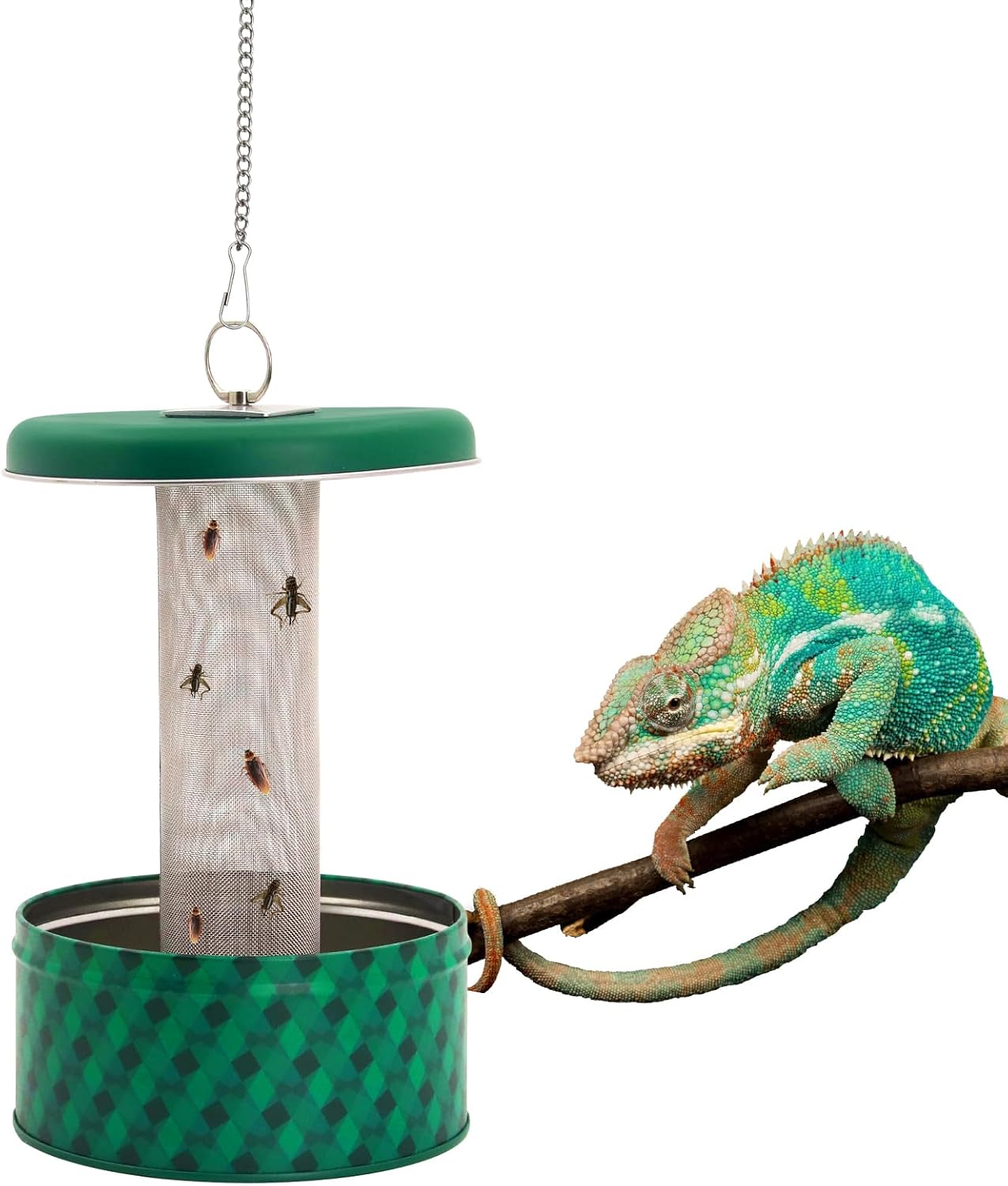 Кормушка для бородатого дракон – обзор и цена Water Dish Reptile